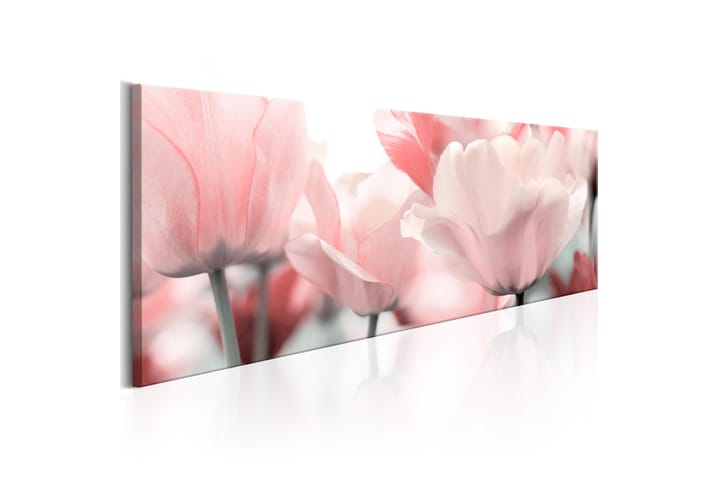 Taulu Pink Tulips 150x50 - Artgeist sp. z o. o. - Canvas-taulu - Seinäkoristeet