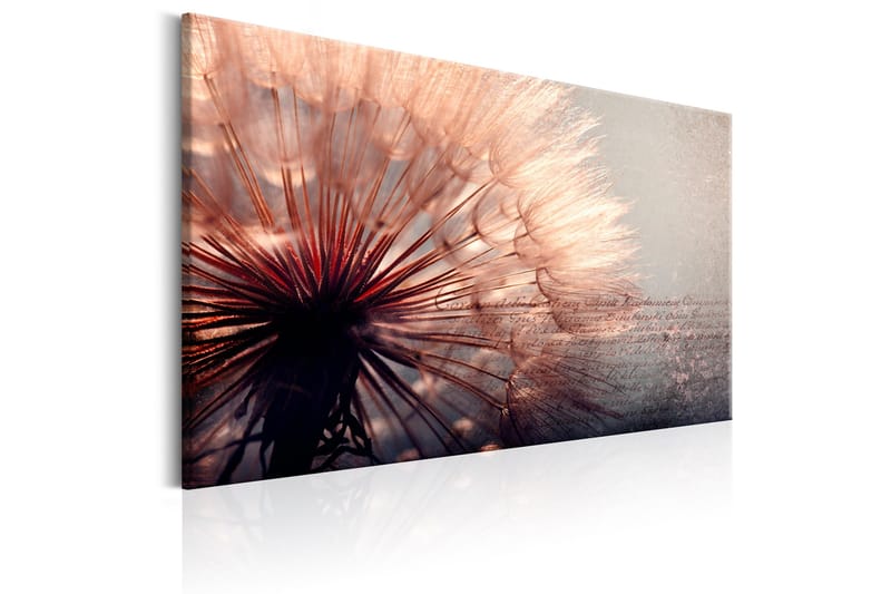 Taulu Pink Gentleness 90x60 - Artgeist sp. z o. o. - Sisustustuotteet - Taulu & taide - Canvas-taulu