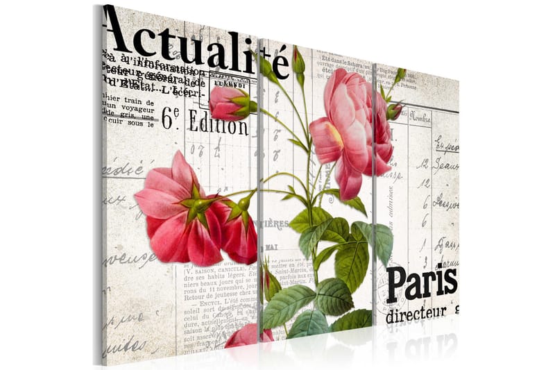Taulu Paris Directeur 120x80, Artgeist sp. z o. o.