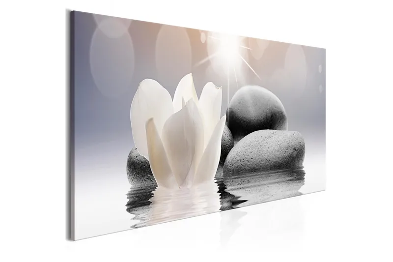 Taulu Pebbles In Water 1 Part Narrow 120x40, Artgeist sp. z o. o.