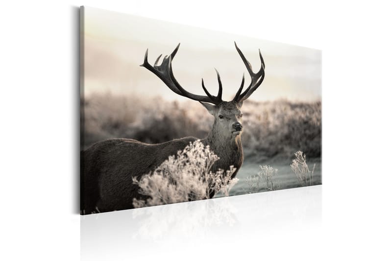 Taulu Powerful Horns 120x80 - Artgeist sp. z o. o. - Sisustustuotteet - Taulu & taide - Canvas-taulu