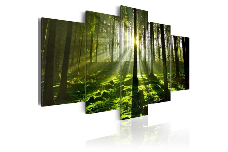 Taulu Peace Of Mind 200x100 - Artgeist sp. z o. o. - Sisustustuotteet - Taulu & taide - Canvas-taulu