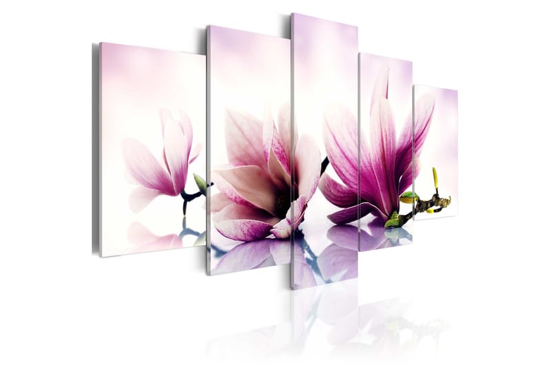 Taulu Pink Flowers Magnolias 100x50, Artgeist sp. z o. o.