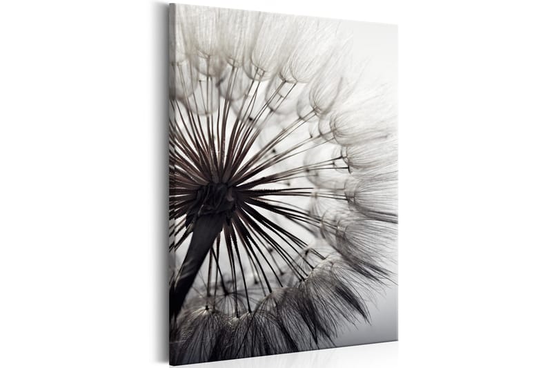 Taulu Pure Delicacy 40x60 - Artgeist sp. z o. o. - Sisustustuotteet - Taulu & taide - Canvas-taulu