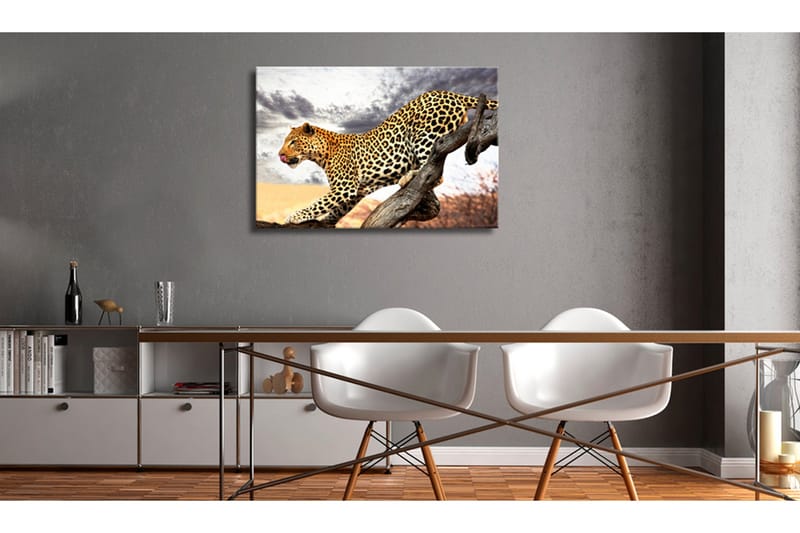 Taulu Predatory Stare 60x40, Artgeist sp. z o. o.