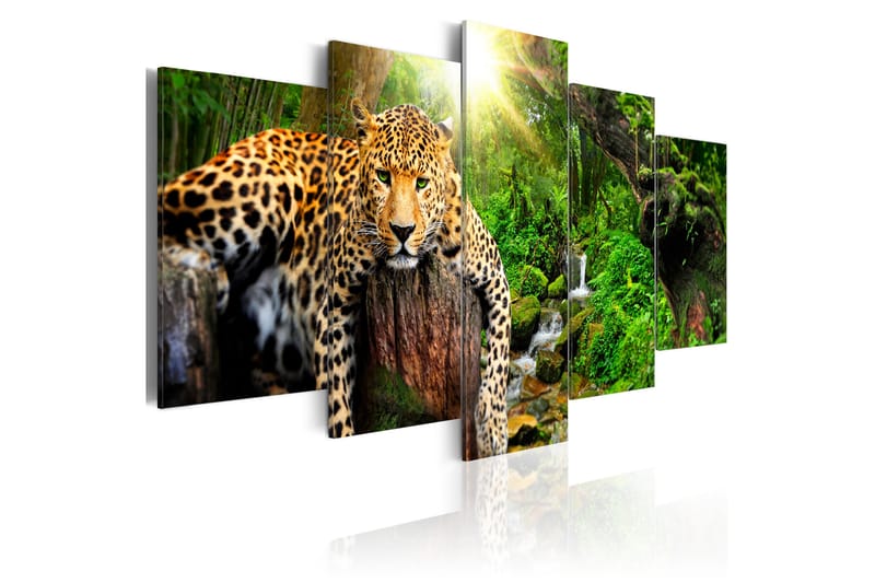 Taulu Predator's Relaxation 100x50 - Artgeist sp. z o. o. - Sisustustuotteet - Taulu & taide - Canvas-taulu
