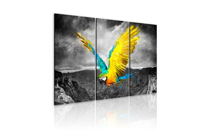 Taulu Paratiisilintu 120x80, Artgeist sp. z o. o.