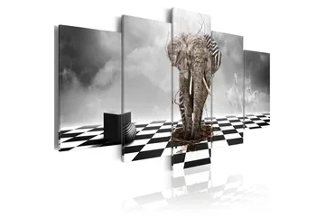 Taulu Pako Afrikasta 200x100