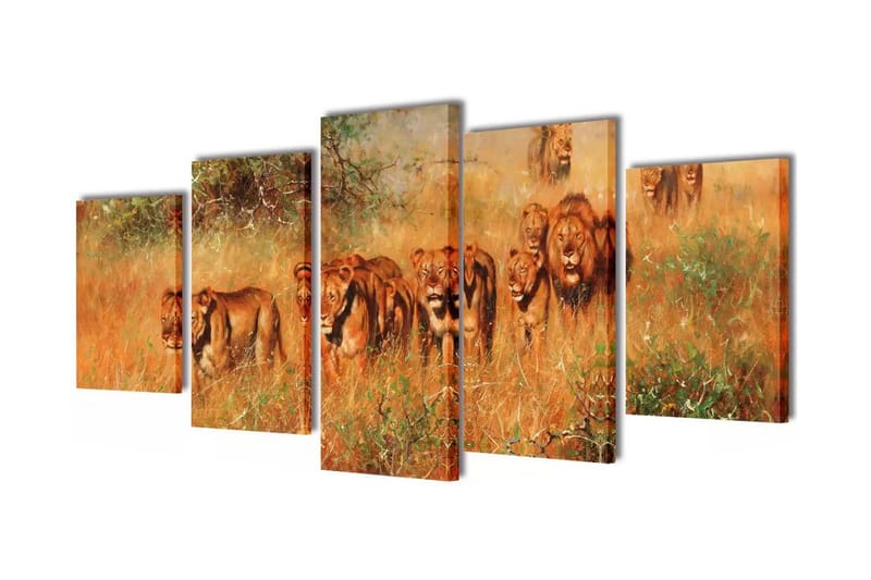 Taulusarja Leijonat 100 x 50 cm - Monivärinen - Sisustustuotteet - Taulu & taide - Canvas-taulu