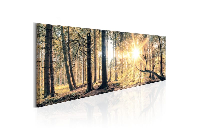 Tavla Autumn Retreat VALUE_MISSING_3 135x45, undefined