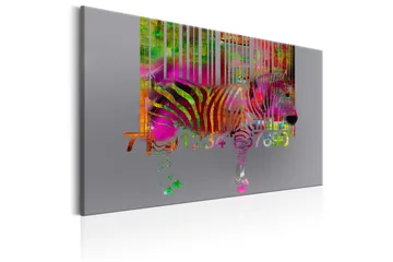 Tavla Code of Zebra 60x40 VALUE_MISSING_1 - Sisustustuotteet - Taulu & taide - Canvas-taulu
