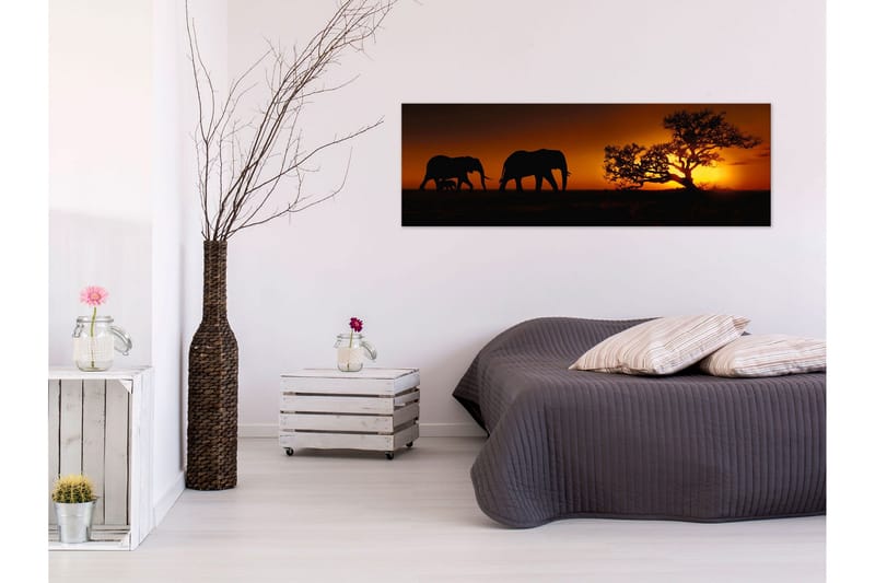 Tavla Elephant Family (Orange) 150x50, undefined