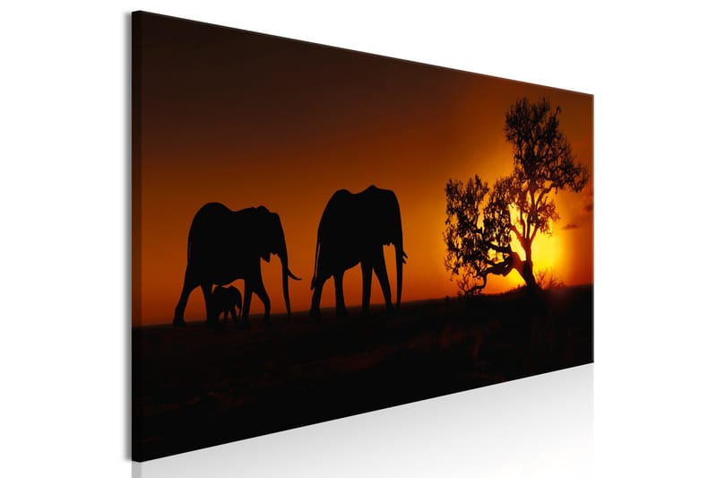 Tavla Elephant Family (Orange) 150x50 - Sisustustuotteet - Taulu & taide - Canvas-taulu