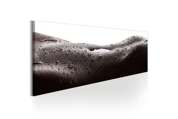 Tavla Erotic Landscape 135x45 - Sisustustuotteet - Taulu & taide - Canvas-taulu