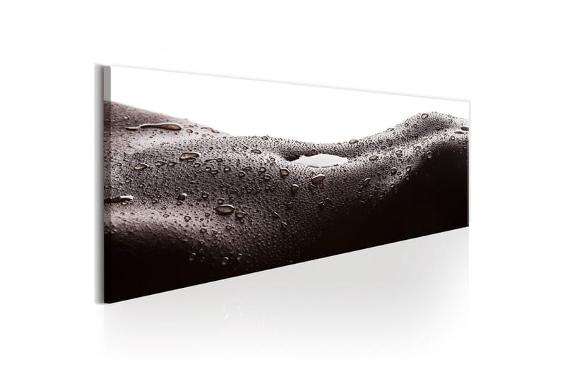 Tavla Erotic Landscape 135x45 - Sisustustuotteet - Taulu & taide - Canvas-taulu