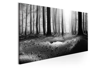 Tavla Forest after Rain (1 Part) Narrow 150x50 - Sisustustuotteet - Taulu & taide - Canvas-taulu