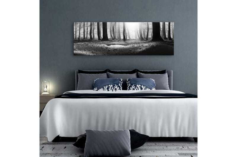 Tavla Forest after Rain (1 Part) Narrow 120x40, undefined