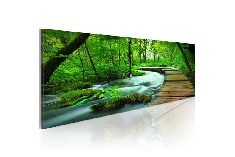 Tavla Forest Broadwalk 135x45 cm, undefined