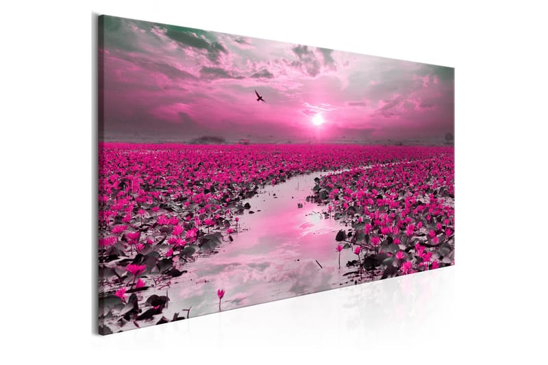 Tavla Lilies and Sunset (1 Part) Narrow 135x45 - Sisustustuotteet - Taulu & taide - Canvas-taulu