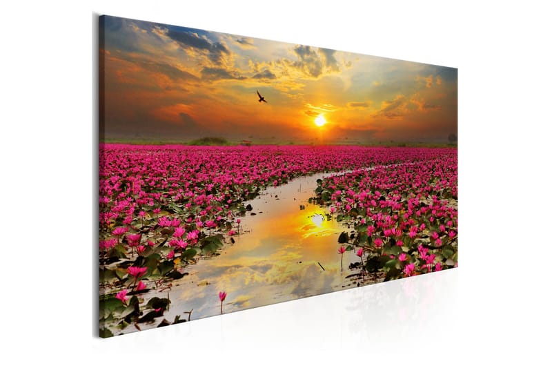 Tavla Lily Field (1 Part) Narrow VALUE_MISSING_3 120x40 - Sisustustuotteet - Taulu & taide - Canvas-taulu