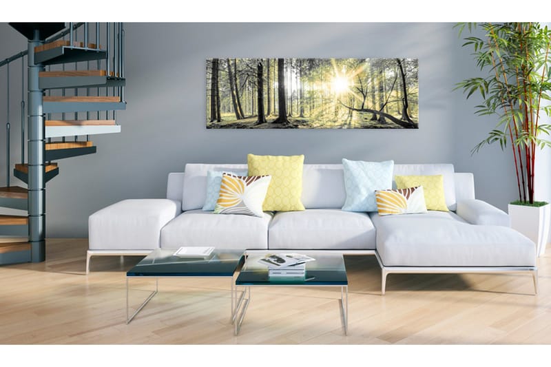 Tavla Morning Forest VALUE_MISSING_3 135x45 - Sisustustuotteet - Taulu & taide - Canvas-taulu
