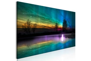 Tavla Rainbow Aurora (1 Part) Narrow 135x45 - Sisustustuotteet - Taulu & taide - Canvas-taulu