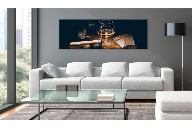 Tavla Stylish Entertainment VALUE_MISSING_2 120x40 - Sisustustuotteet - Taulu & taide - Canvas-taulu