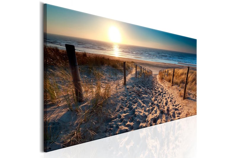 Tavla Sunset Path 120x40 - Sisustustuotteet - Taulu & taide - Canvas-taulu