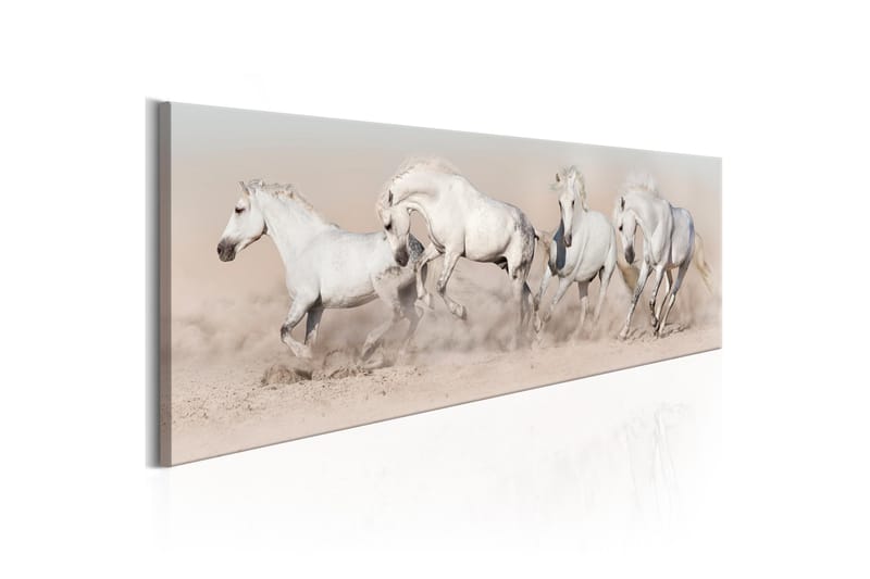 Tavla Wild Beauty VALUE_MISSING_3 135x45, undefined