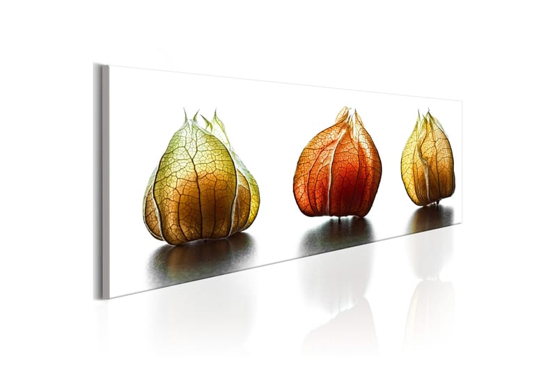 Tavla Winter Cherry 135x45 - Sisustustuotteet - Taulu & taide - Canvas-taulu