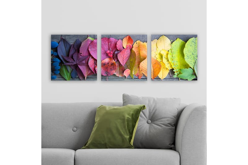 Decoratiivinen Canvas-taulu (3 osaa) 30x30 - Sisustustuotteet - Taulu & taide - Canvas-taulu