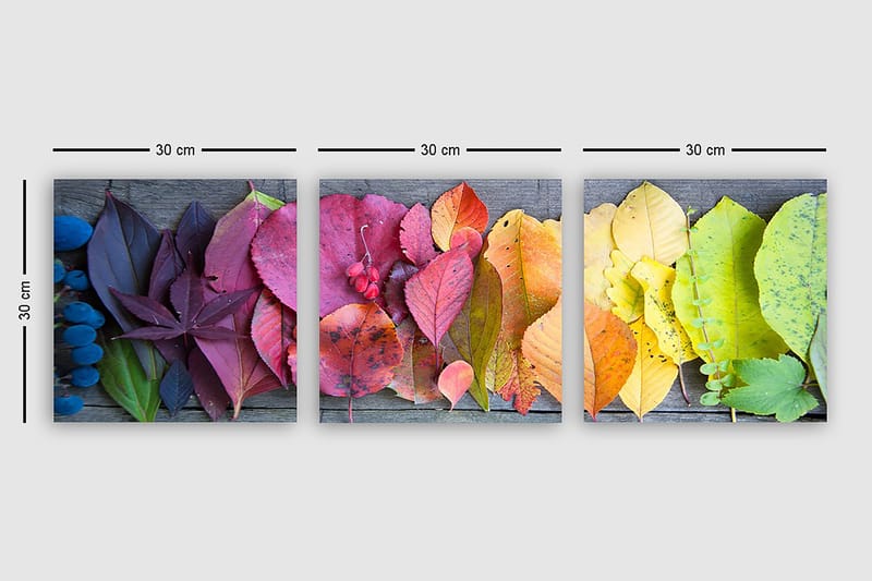 Decoratiivinen Canvas-taulu (3 osaa) 30x30 - Sisustustuotteet - Taulu & taide - Canvas-taulu