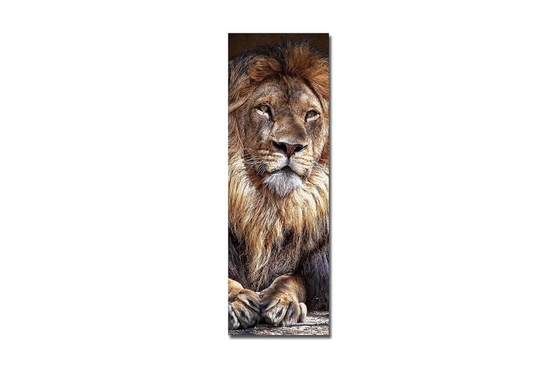 Decoratiivinen Canvas-taulu 30x90 - Sisustustuotteet - Taulu & taide - Canvas-taulu