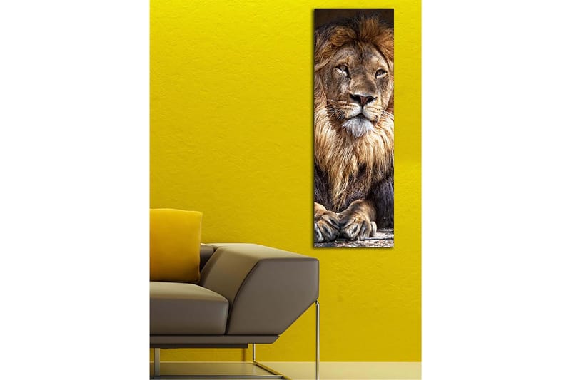 Decoratiivinen Canvas-taulu 30x90 - Sisustustuotteet - Taulu & taide - Canvas-taulu