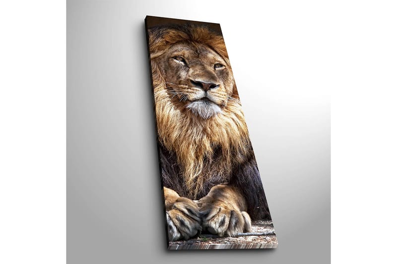 Decoratiivinen Canvas-taulu 30x90 - Sisustustuotteet - Taulu & taide - Canvas-taulu
