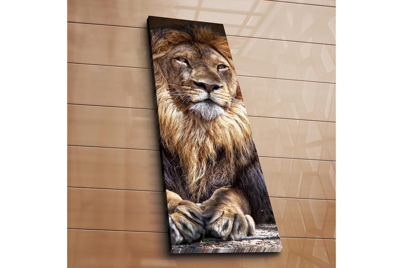 Decoratiivinen Canvas-taulu 30x90 - Sisustustuotteet - Taulu & taide - Canvas-taulu