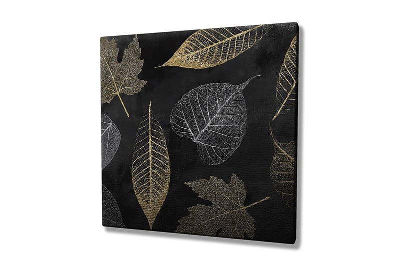 Decoratiivinen Canvas-taulu 45x45, undefined