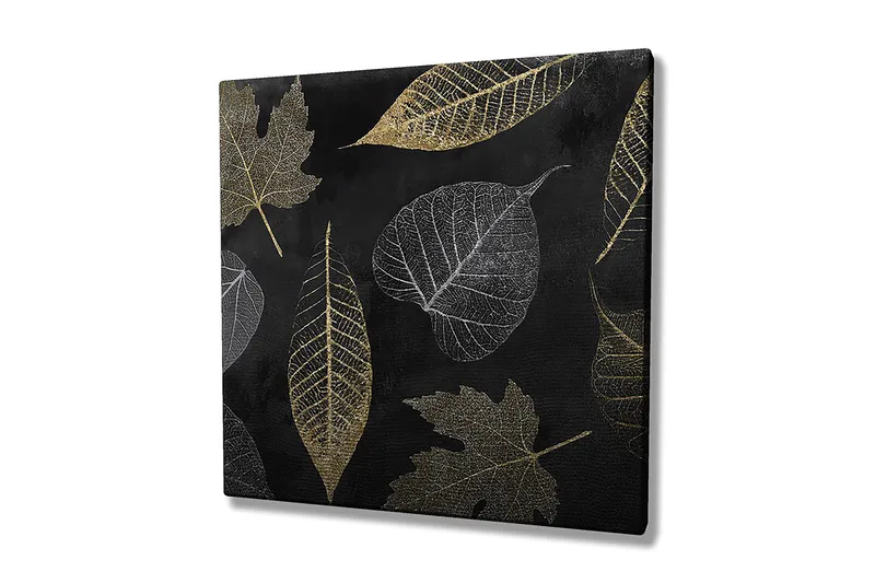Decoratiivinen Canvas-taulu 45x45, undefined