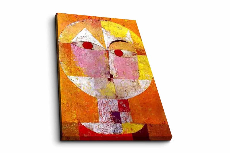 Decoratiivinen Canvas-taulu 45x70, undefined