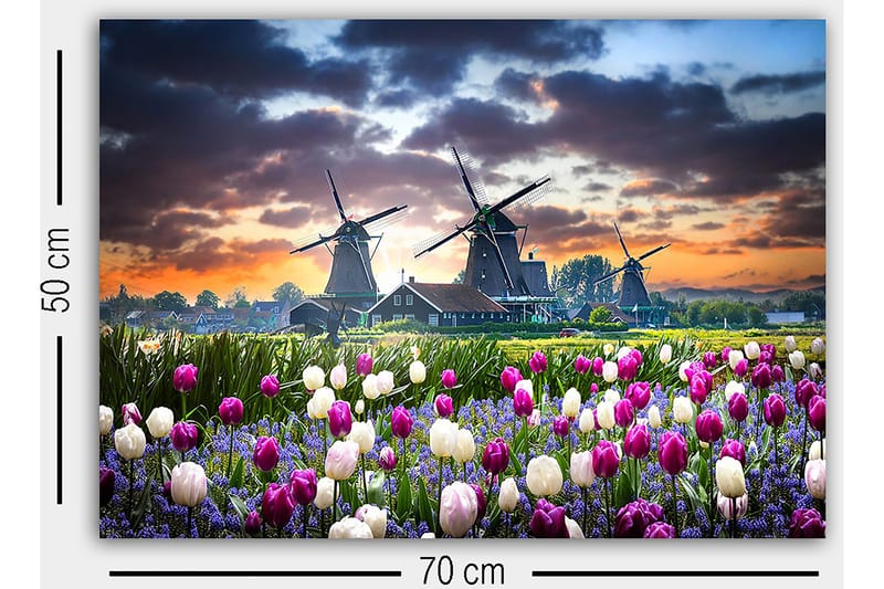 Decoratiivinen Canvas-taulu 50x70 - Sisustustuotteet - Taulu & taide - Canvas-taulu