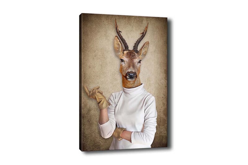 Decoratiivinen Canvas-taulu 50x70, undefined