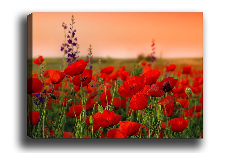 Decoratiivinen Canvas-taulu 50x70 - Sisustustuotteet - Taulu & taide - Canvas-taulu