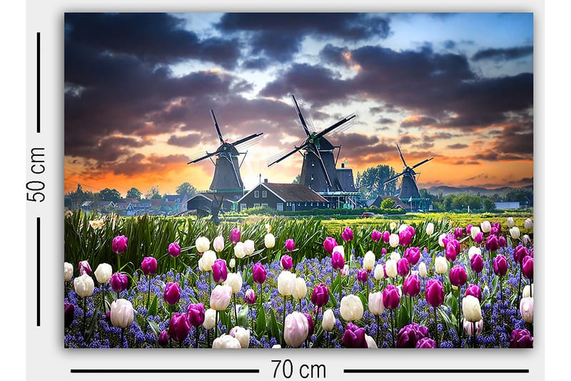 Decoratiivinen Canvas-taulu 50x70 - Sisustustuotteet - Taulu & taide - Canvas-taulu