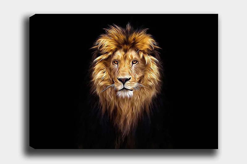 Decoratiivinen Canvas-taulu 50x70 - Sisustustuotteet - Taulu & taide - Canvas-taulu