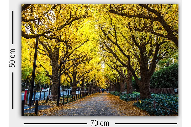 Decoratiivinen Canvas-taulu 50x70 - Sisustustuotteet - Taulu & taide - Canvas-taulu