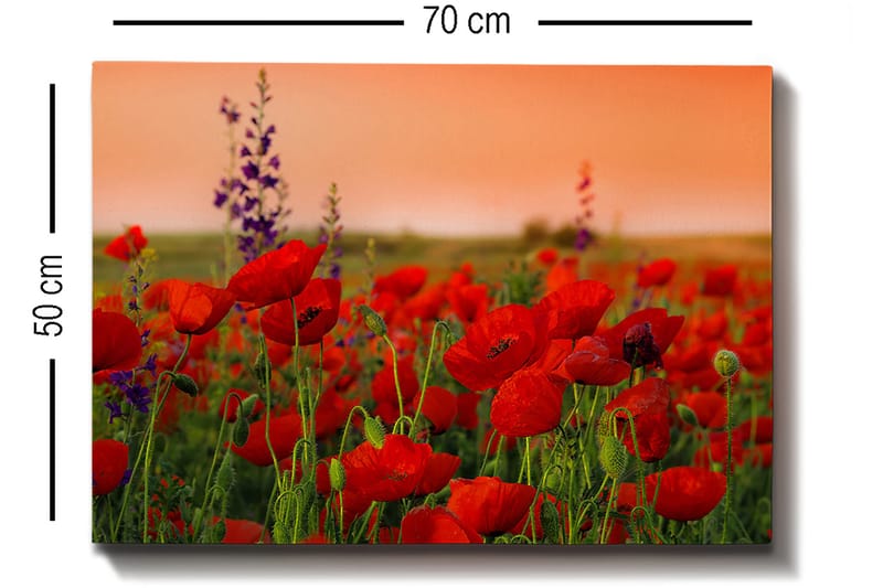 Decoratiivinen Canvas-taulu 50x70 - Sisustustuotteet - Taulu & taide - Canvas-taulu