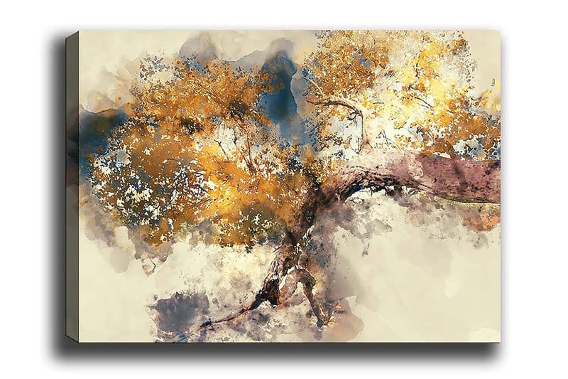 Decoratiivinen Canvas-taulu 50x70, undefined