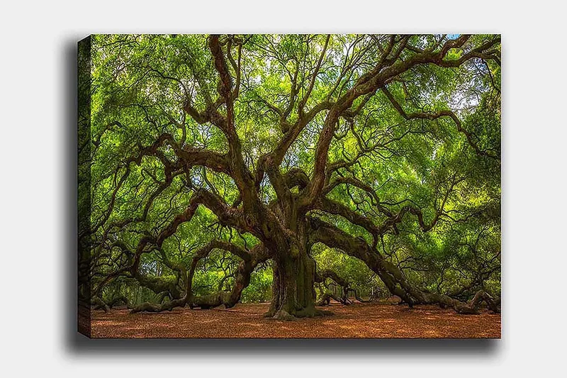 Decoratiivinen Canvas-taulu 50x70, undefined