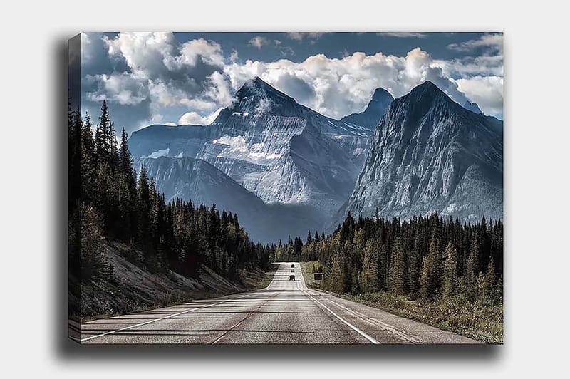 Decoratiivinen Canvas-taulu 50x70, undefined