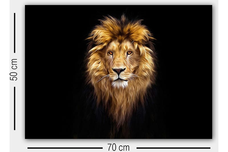 Decoratiivinen Canvas-taulu 50x70 - Sisustustuotteet - Taulu & taide - Canvas-taulu